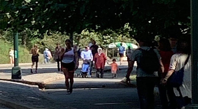 Berat Albayrak Ailesi ile Central Park'ta
