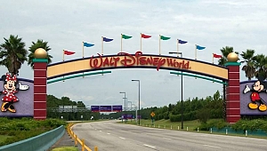 Walt Disney'e Kasırga Engeli