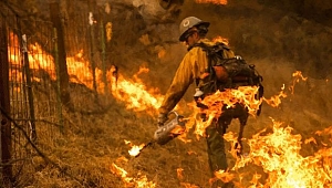 California'da Yangınlar Büyüyor