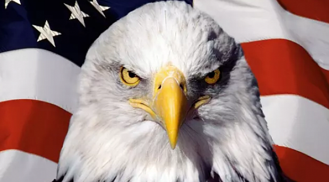 Amerika'da Şaşırtan Yaşam
