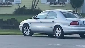 Florida'da Köpek Aracı 1 saat böyle kullandı