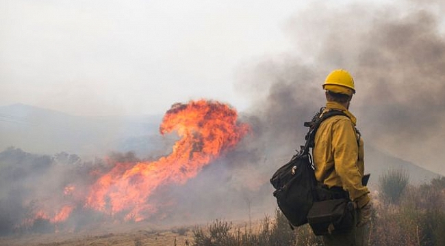 California Yangınından Zarar Görenlere Tazminat