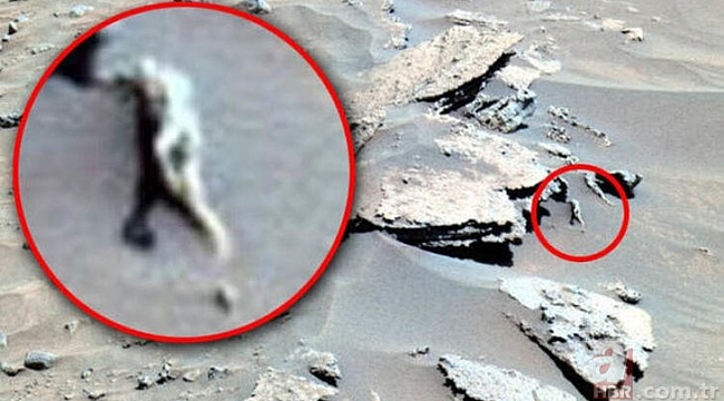 Mars'ta dehşete düşüren keşif