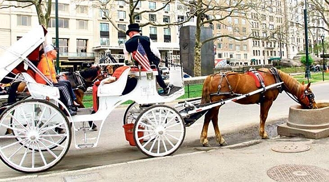 New York'un atlı faytonları Türklerin Elinde