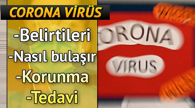 Corona Virüs belirtileri, virüs nasıl bulaşıyor, tedbirler ne olmalı?