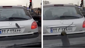 İran'da Gökten Patlıcan Yağdı mı?