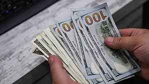1200 dolarlık Corona Yardımını Nasıl Alırız?