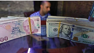Dolar 7 Tl yi aştı