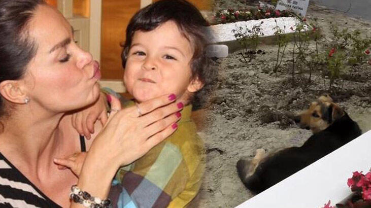 Ebru şallı o köpeğin bakımını üstlendi