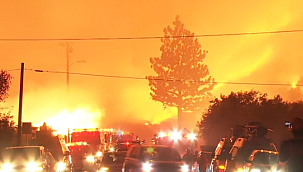 California'da OHAL ilan edildi