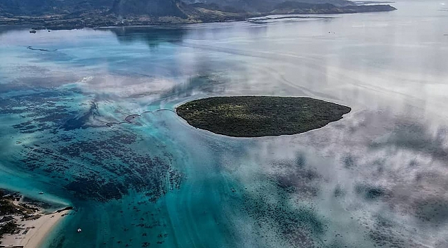 'Cennet adası' Mauritius, Çevre Felaketi Yaşıyor