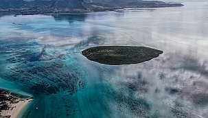 'Cennet adası' Mauritius, Çevre Felaketi Yaşıyor