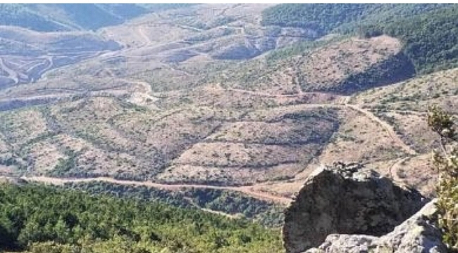 Doğa Kendini Yeniliyor