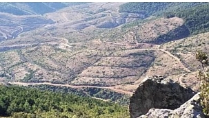 Doğa Kendini Yeniliyor