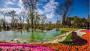 Emirgan Korusunda Yangın Paniği