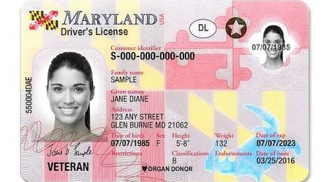 Maryland Eyaletinden Herkes 8 Yıllık Ehliyet Alabilir