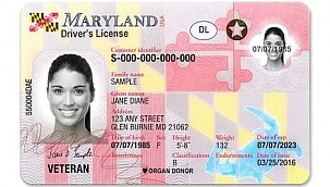 Maryland Eyaletinden Herkes 8 Yıllık Ehliyet Alabilir