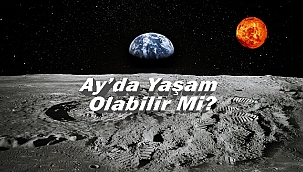 Bilim İnsanları Açıkladı; Ay’da Yaşam Olabilir!