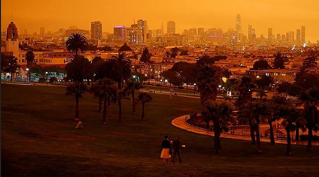 California’daki Orman Yangınlarının Ağır Bilançosu