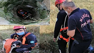 Kuyuya düşen köpeğin yardımına itfaiye koştu