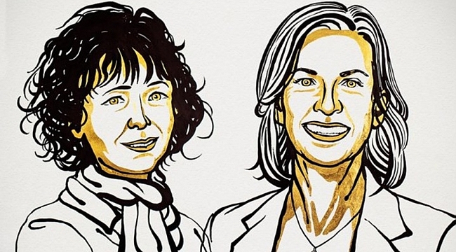Nobel Kimya Ödülü Sahiplerini Buldu