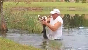 Yavru Köpeği Timsahın Ağzından Çekip Aldı