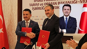 Ayhan Özmekik Neden İstifa Etti?