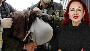 Aylin Sözer'in Katili Tutuklandı