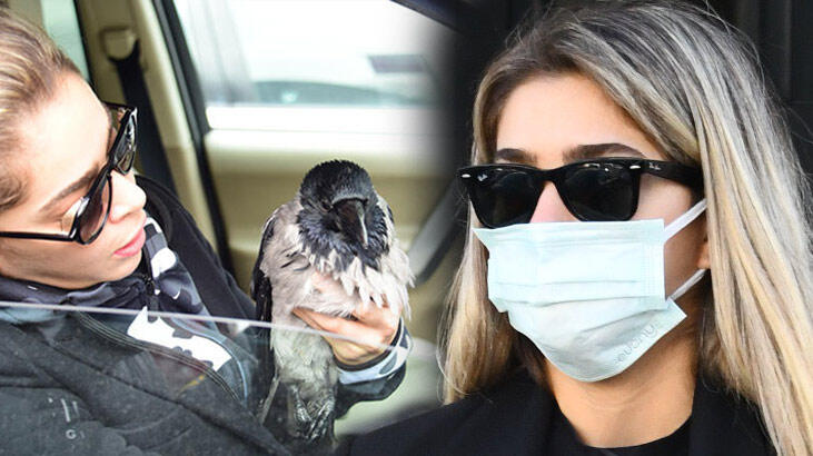Öykü Çelik'in veterinere götürdüğü yaralı karga öl