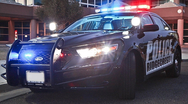 ABD'de Polisin Türklere Karşı Tutumu