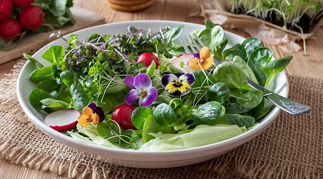 Salata Çeşitleri - 1