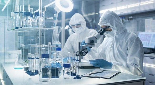 D Vitamini, Kovid-19 Ölümlerini Yüzde 60 Azaltıyor