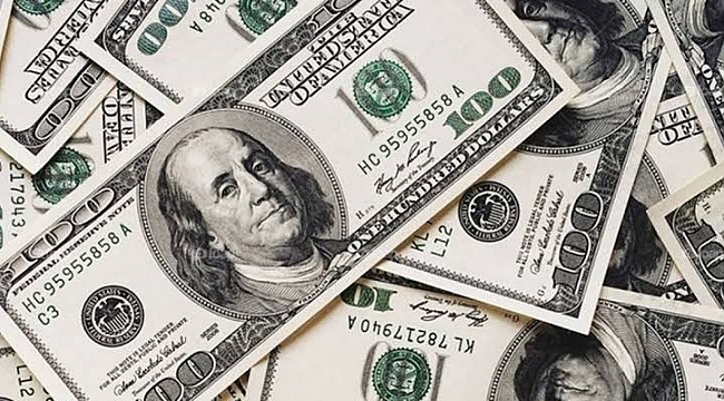 Dev Kuruluştan Dolar Tahmini