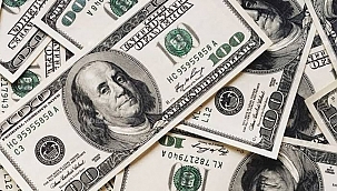 Dev Kuruluştan Dolar Tahmini