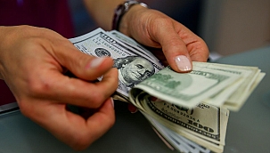 Çalıştığı Yeri Dolandırdı, Estetik Yaptırdı