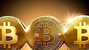 Twitter'ın CEO'su Bitcoin'e Doymuyor
