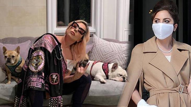Köpekleri kaçırılan Lady Gaga'dan olay sonrası ilk
