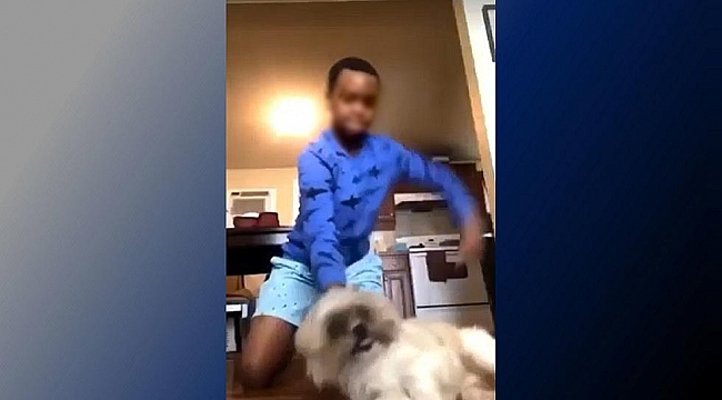 Atlantic City'de Bir Çocuk Köpeği Dövdü