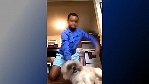 Atlantic City'de Bir Çocuk Köpeği Dövdü