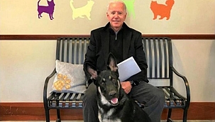 Biden'ın Köpeği Yine Isırdı!