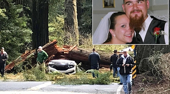 California'da Görünmez Kaza: 2 Ölü