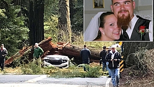 California'da Görünmez Kaza: 2 Ölü