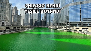 Chicago Nehri Yeniden Yeşile Boyandı