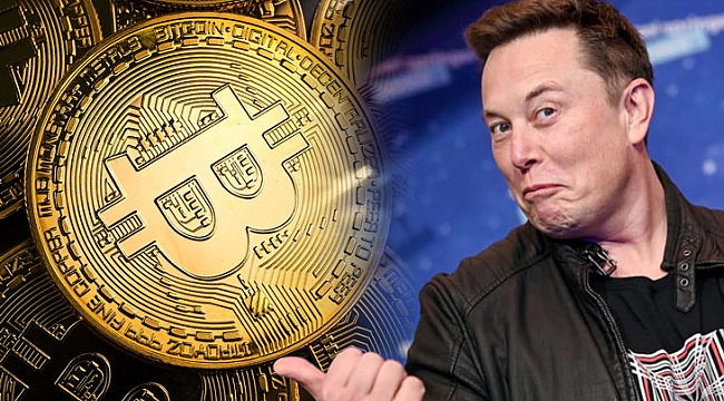 Elon Musk Yüzünden, Bir Gecede Battı