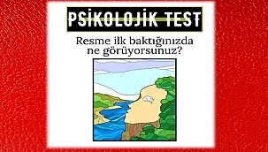 Resme Baktığınızda Ne Görüyorsunuz?