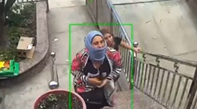 Brooklyn'de Yaşlı Kadınların Korkulu Rüyası