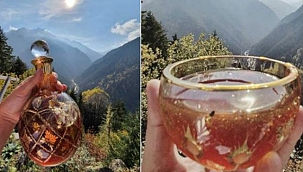 Kilosu 13 Bin dolara Bal Satışa Çıktı