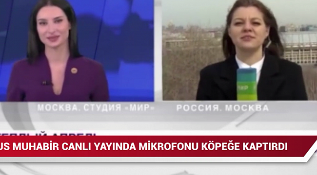 Muhabirin Mikrofonunu Aşıran Köpek Viral Oldu