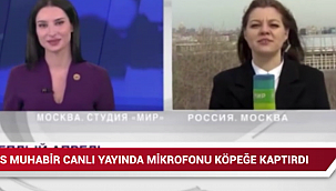 Muhabirin Mikrofonunu Aşıran Köpek Viral Oldu