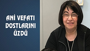 New Jersey'de Ayla Taşdemir Vefat Etti